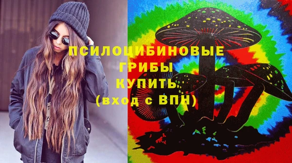 Альфа ПВП Армянск
