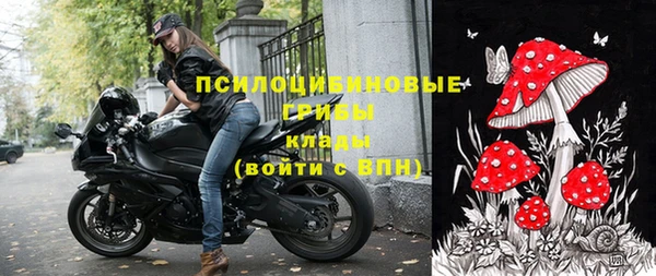 герыч Арсеньев