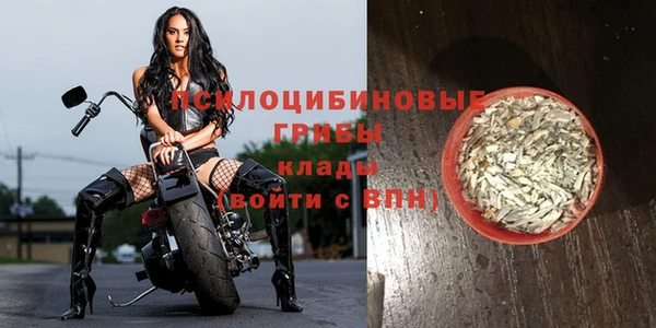 герыч Арсеньев