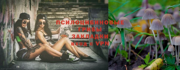 герыч Арсеньев